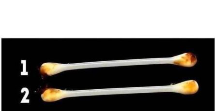 606491425 122149677488732771 4546295573704932629 n