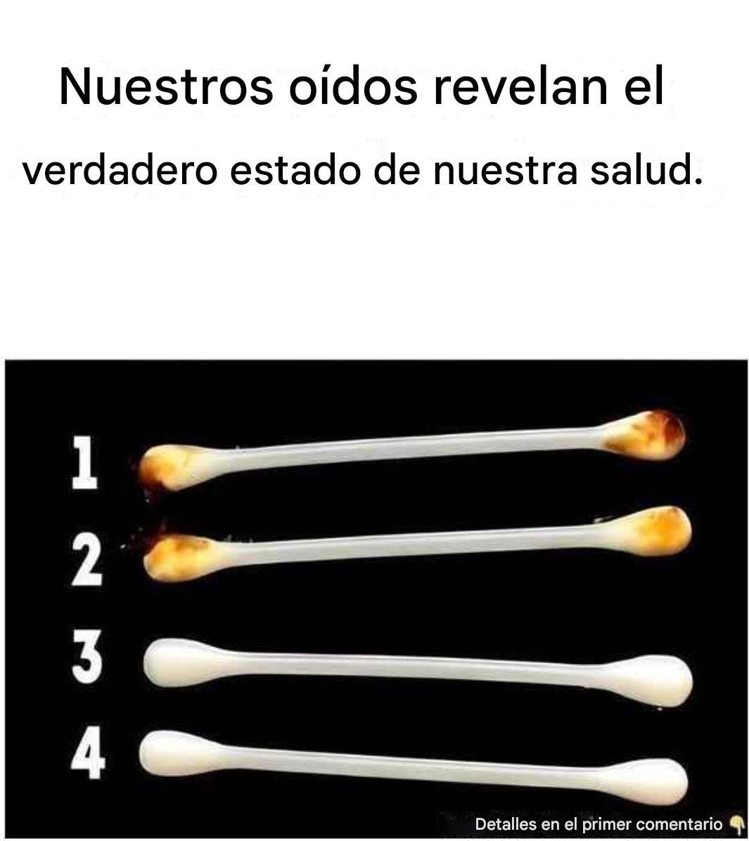 606491425 122149677488732771 4546295573704932629 n