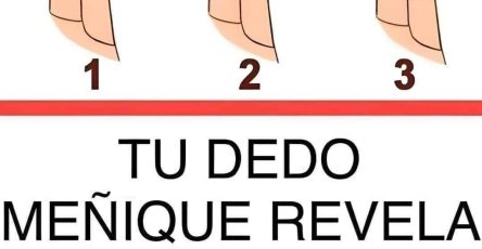 616154143 1639184344116817 5473264088828270808 n