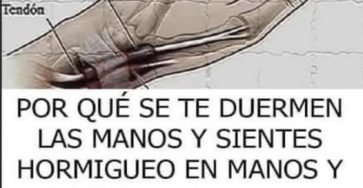 624461633 1404128081759614 2130461886797816314 n