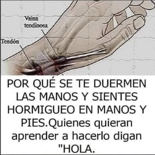 624461633 1404128081759614 2130461886797816314 n