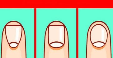 625896765 1987943578817937 8299206722471071678 n