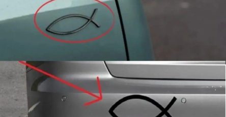 627385442 1904408496872029 1784453723587842287 n