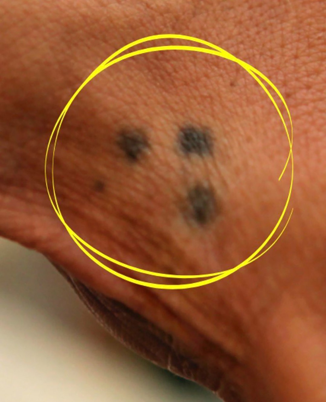 629729698 1290977059556135 1778536423069585305 n