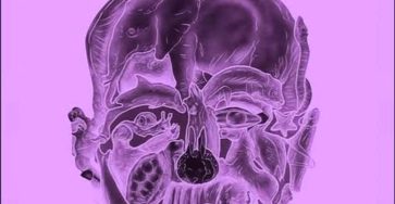 633802486 122113694601191055 2581821256696159437 n