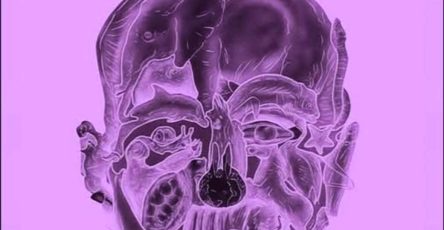 633802486 122113694601191055 2581821256696159437 n