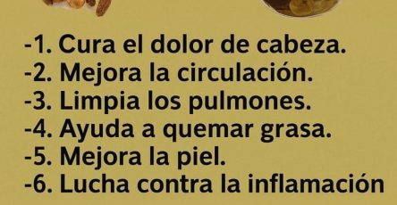 633889288 1501573431304058 5050955295476335916 n