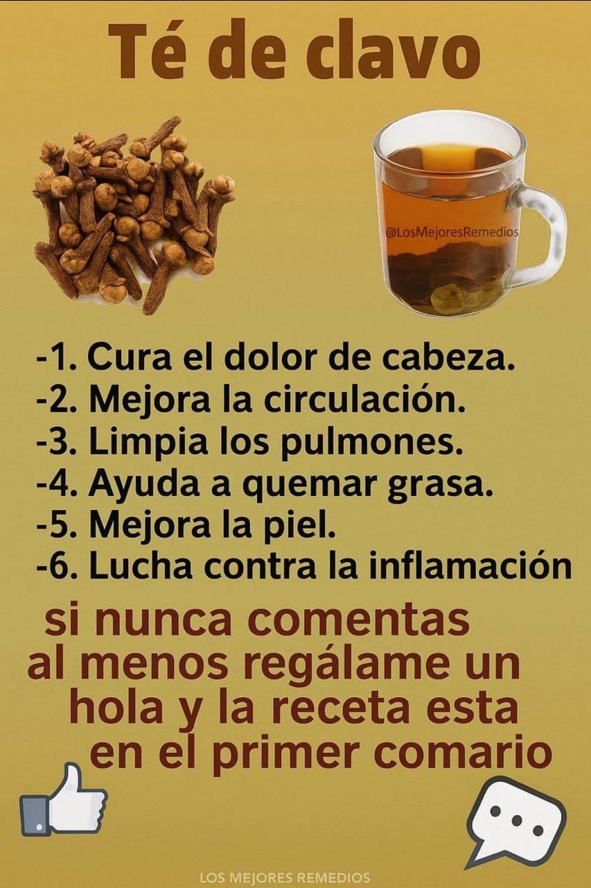 633889288 1501573431304058 5050955295476335916 n