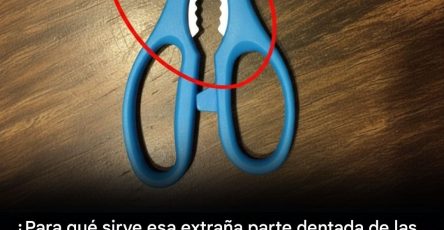 634667420 1981247882816136 2839580066002758056 n