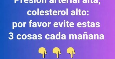 635003393 1852190805435400 4619461835174345541 n