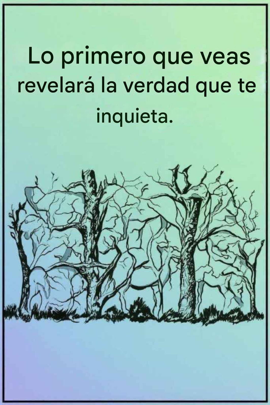 637723403 122106382503245962 4309520326982877386 n