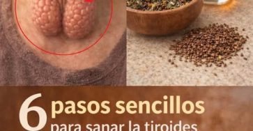 638601147 122249888702087892 795191576225735598 n