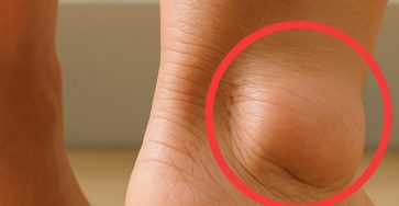 641310547 122169702524871765 487553733130119214 n