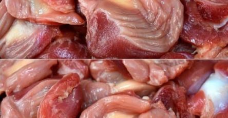 641627366 2187211382024306 5463041940798807546 n