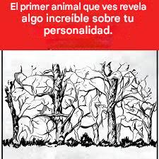 90e141dd e251 4af2 934a 0dc31ad4e6cc