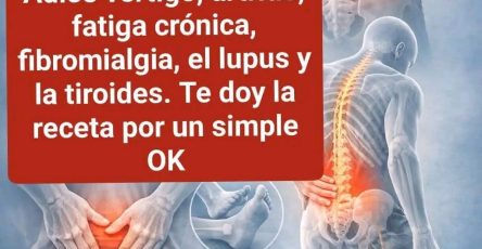 91a6b4a6 45bb 4736 af95 a2a564d13d6a