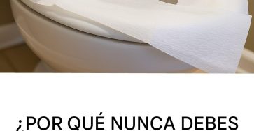 Ef43af9b c18b 44af 9fc0 b8d5de4304aa