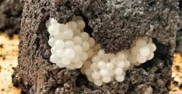 1b1f5b90 92e2 40a9 9ec6 66a6b1c435ed 3