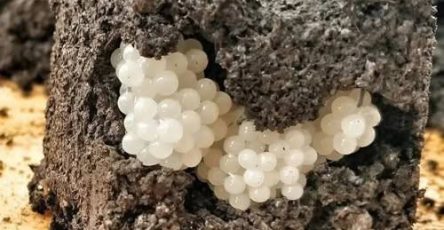 1b1f5b90 92e2 40a9 9ec6 66a6b1c435ed 3