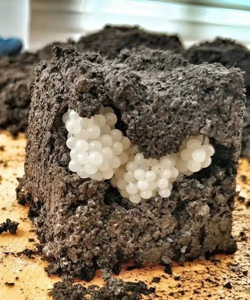 1b1f5b90 92e2 40a9 9ec6 66a6b1c435ed 3