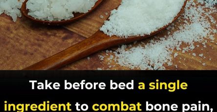 1b1f5b90 92e2 40a9 9ec6 66a6b1c435ed 3