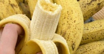 1b1f5b90 92e2 40a9 9ec6 66a6b1c435ed 3