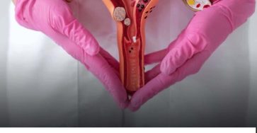 1f93b01b 8ce3 42a5 8ec5 2018061163bb 1 1 768x732