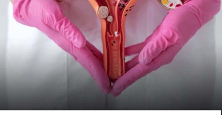 1f93b01b 8ce3 42a5 8ec5 2018061163bb 1 1 768x732