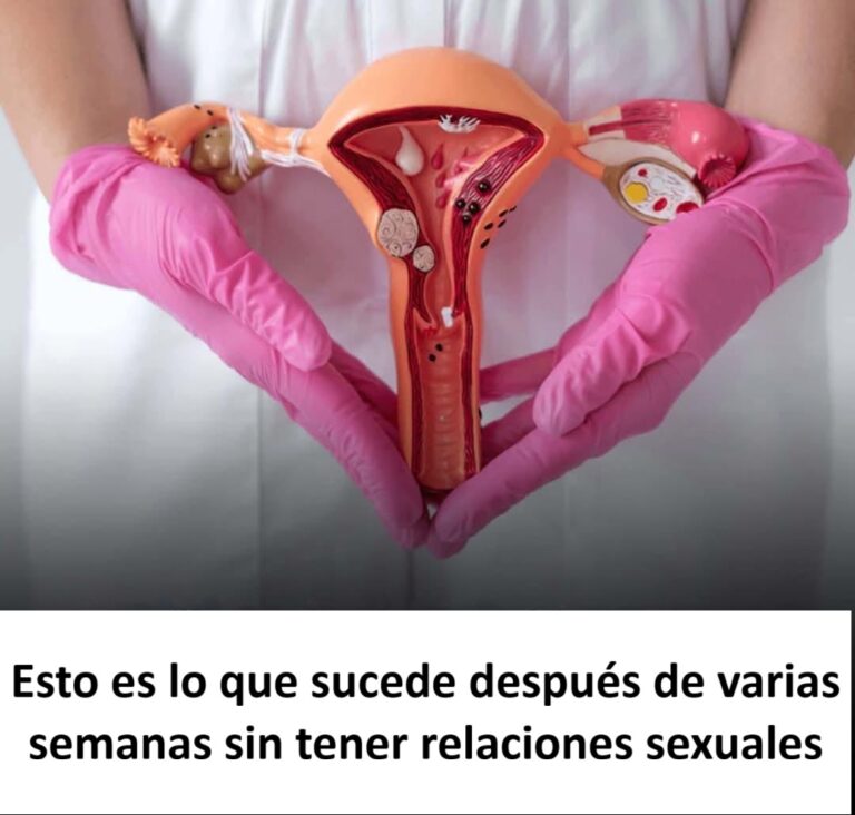 1f93b01b 8ce3 42a5 8ec5 2018061163bb 1 1 768x732