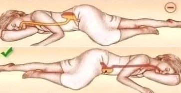 452880855 1022942512537716 7158261245016308577 n