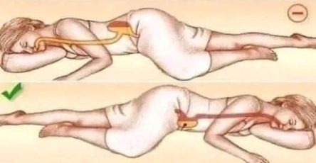 452880855 1022942512537716 7158261245016308577 n