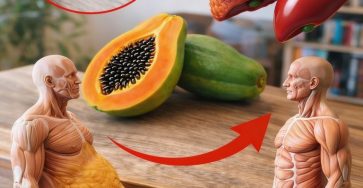 516441890 122198327888450537 3836375363348464176 n 617 50 768x987