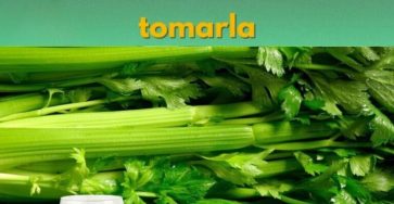 540498774 122146708160809999 5443534038689438743 n 768x960