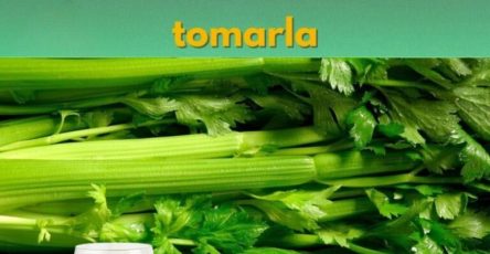 540498774 122146708160809999 5443534038689438743 n 768x960