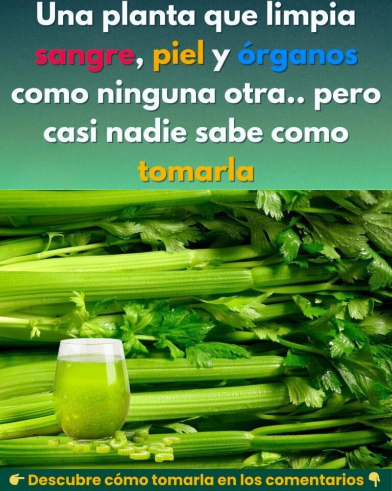 540498774 122146708160809999 5443534038689438743 n 768x960