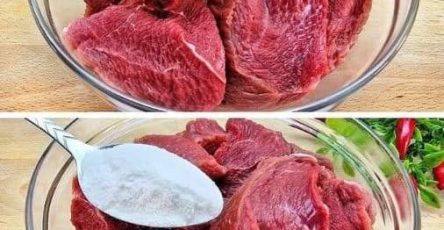 555541151 2108273629980656 3190239968116215925 n