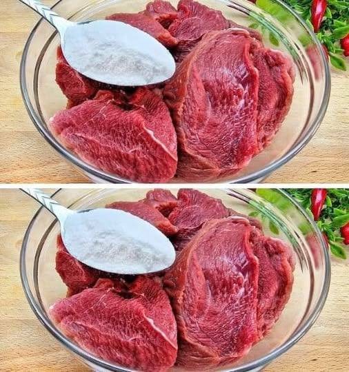 555541151 2108273629980656 3190239968116215925 n