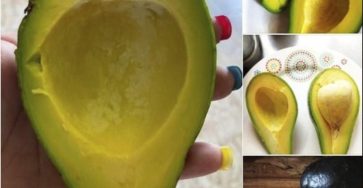 557717201 1330722338463072 937893647427376944 n 768x768