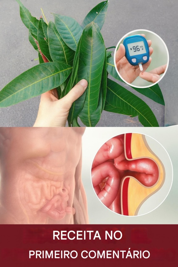 573282597 871842305169526 6921956451799224064 n