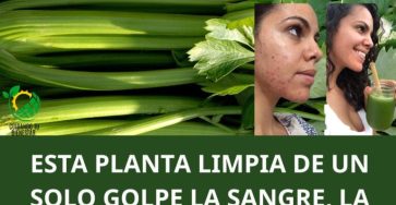 578956545 122178155684492222 7225160881029092032 n 768x960