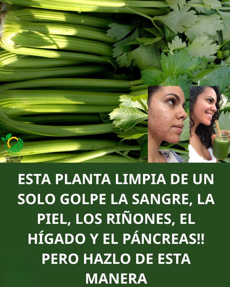 578956545 122178155684492222 7225160881029092032 n 768x960