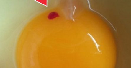 580517174 1397839185068110 7331463403536442168 n