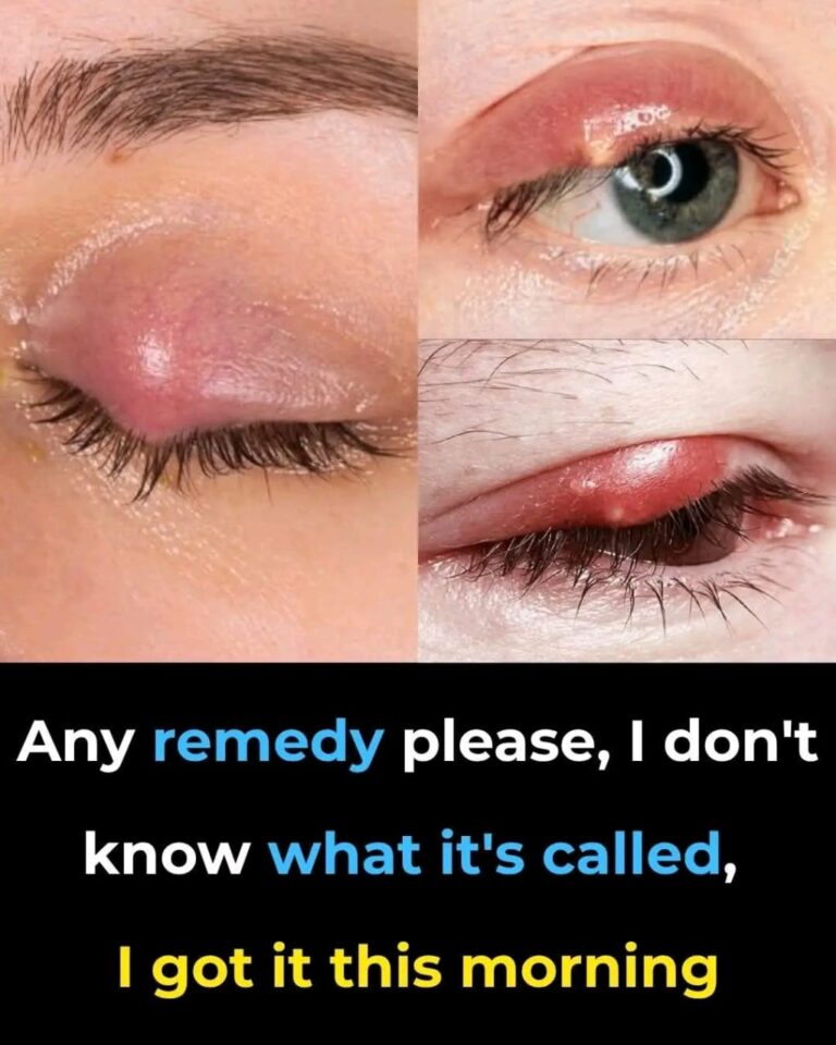 582417284 122103533379105708 3901676824132851413 n 1 768x960