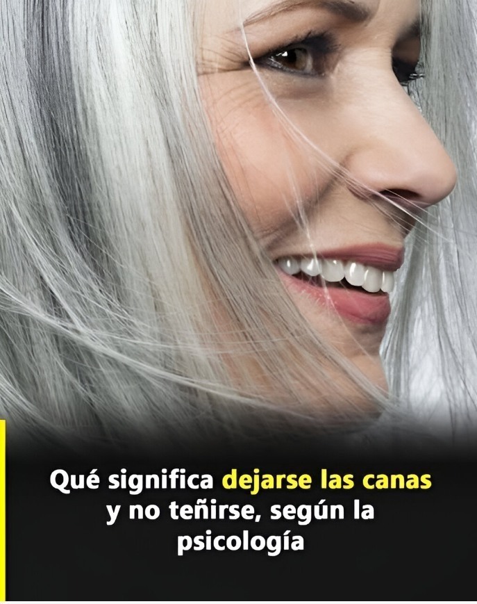 593404511 778289451927158 5777470274425306959 n