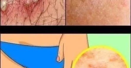 593455219 834648482685150 7134764992650826827 n