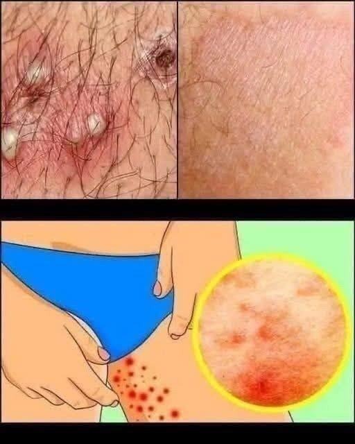 593455219 834648482685150 7134764992650826827 n