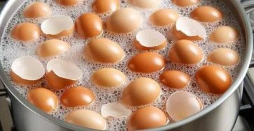 597490097 1206459661629424 4247348921971476259 n