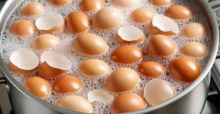 597490097 1206459661629424 4247348921971476259 n