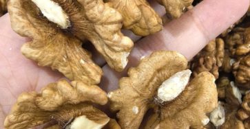 598634251 899552632762573 2355133911329713178 n