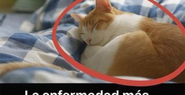 598819087 1389303115938327 3718236534666488446 n 768x768